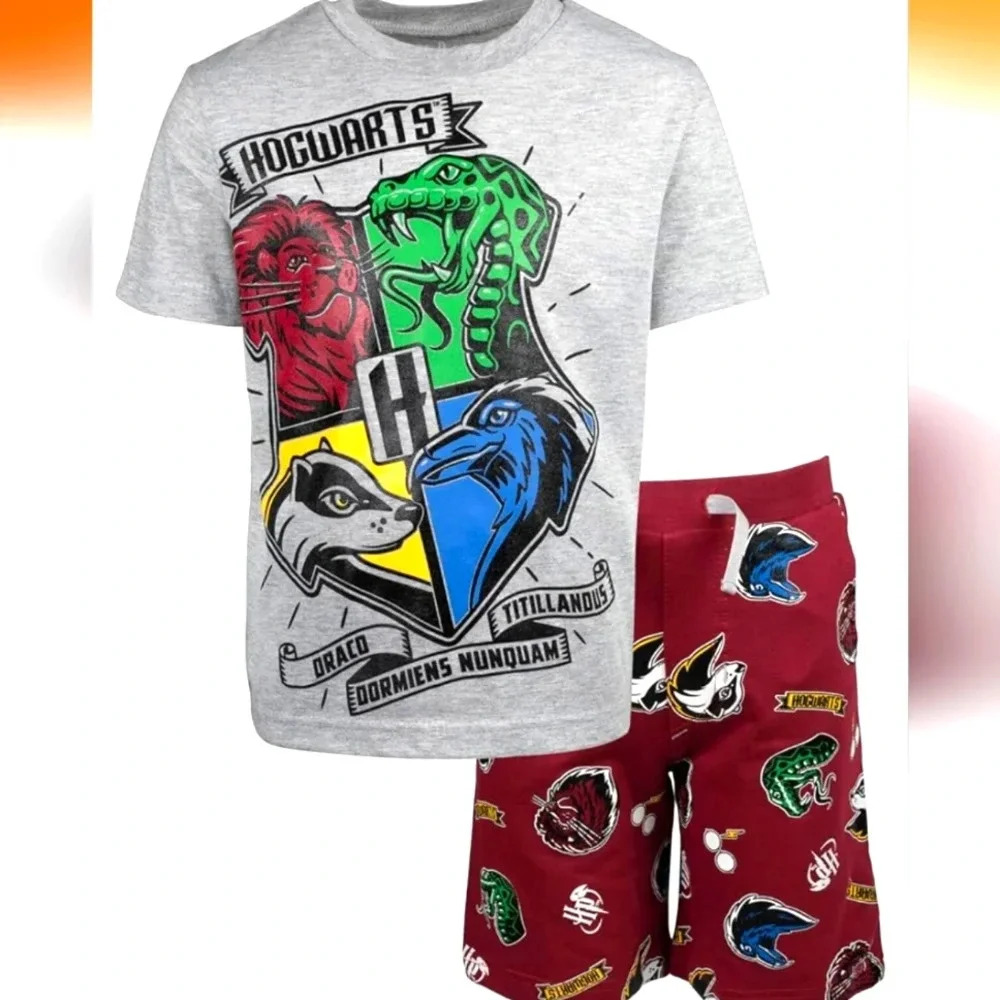 Harry Potter Gryffindor Hufflepuff Slytherin Ravenclaw Graphic pajamas size 14